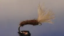 Video thumb for Mole Fly