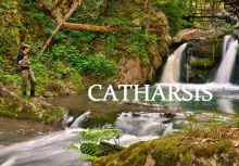 Video thumb for Catharsis