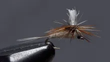 Video thumb for Parachute Adams Size 22