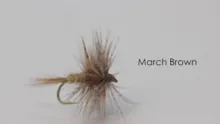 Video thumb for March Brown