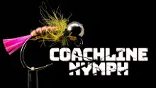 Video thumb for Coachline Nymph