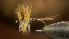 Video thumb for Red Quill Mayfly