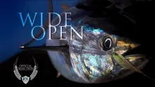 Video thumb for Wide Open