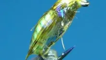 Video thumb for Small Chunky Caddis Pupa