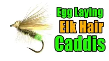 Video thumb for Egg Laying Elk Hair Caddis