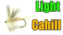 Video thumb for Light Cahill