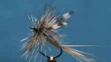 Video thumb for My Top Fishing Flies #4 with Jim Misiura