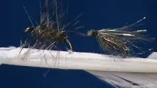 Video thumb for My Top Fishing Flies #1 with Jim Misiura