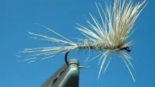 Video thumb for August Dun (Dry Fly) 