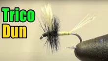 Video thumb for Trico Dun Mayfly