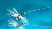 Video thumb for Small Spinner (Dry Fly) 