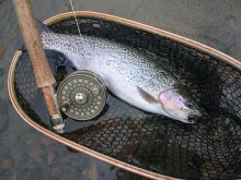 User submitted picture: Farmington River Rainbow ...