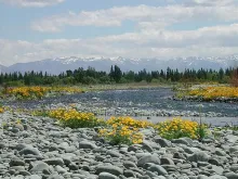 User submitted picture: Spring is a wonderful tim...