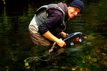 User submitted picture: ma favorite brown ( black...