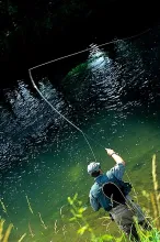 User submitted picture: Casting in the stream of ...