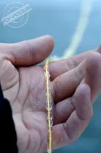 User submitted picture: freezing cold