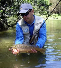 User submitted picture: Brown Trout: Patagonia in...