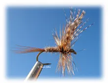 User submitted picture: March Brown