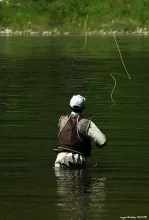 User submitted picture: fly as far as you can...f...