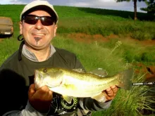 User submitted picture: In a distant lake of  the...