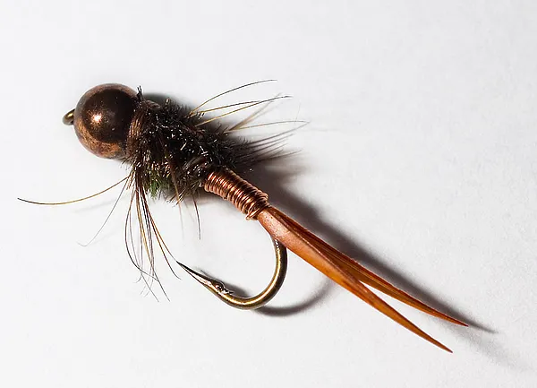 User submitted picture: Brassie-type fly