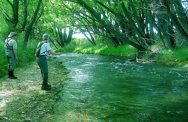 User submitted picture: Casting is difficult bene...